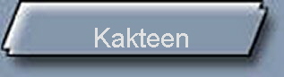 Kakteen