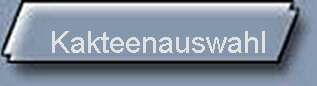 Kakteenauswahl