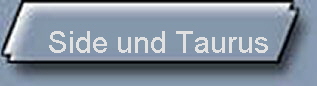 Side und Taurus